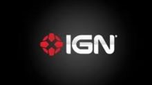 IGN 即将拍卖 - 报告